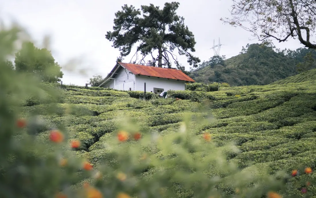 A quiet mountain landscape surrounded by green hills